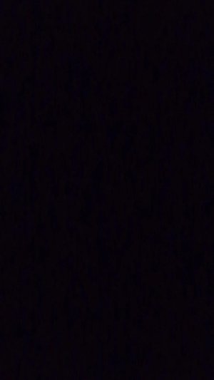 отвечаю на вопросы и общаюсь