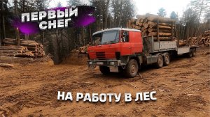 Выехали на природу |  Первый снег и лесная дорога | Tatra 815