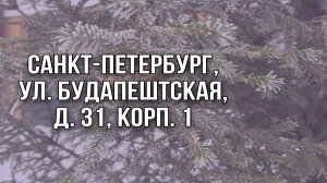 Продажа квартиры: Санкт-Петербург, ул. Будапештская, д. 31, корп. 1. Видео от собственника!