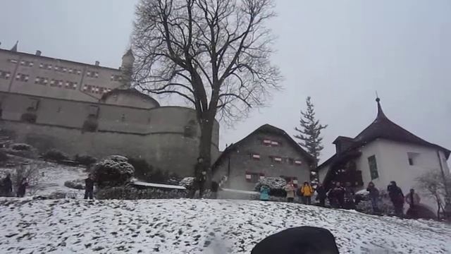 Соколиная охота