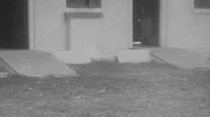 Comparative Tests On A Human And A Chimpanzee Infant Of Approximately The Same Age, Pt 2