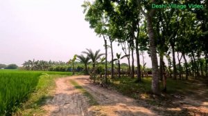 Indian Village Walk | Visiting Rita's Paddy Farm | Walking Under Hot Summer | 4K Walk | Village Roa