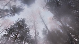 охота с лайкой