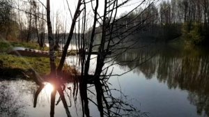 А за окошком месяц май.