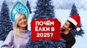 БИЗНЕС НА ЖИВЫХ НОВОГОДНИХ ДЕРЕВЬЯХ