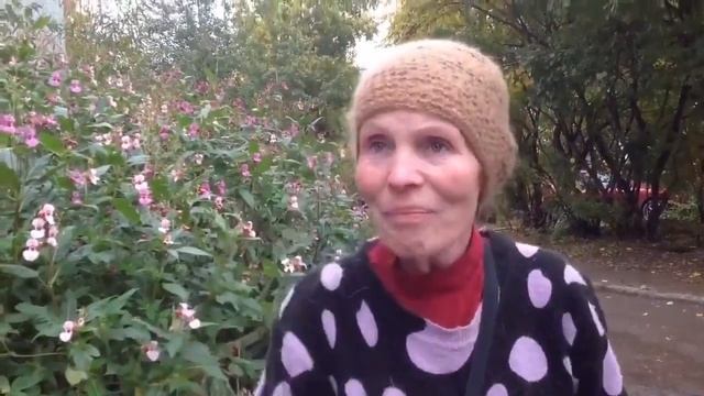 Я не такая, я вот такая