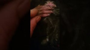 Поймали домового!