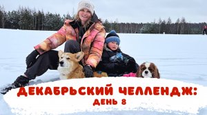 Декабрьские влоги: Бентли и Лекси на ватрушке в лесу