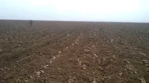 Охота на зайца в Калмыкии ноябрь 2013