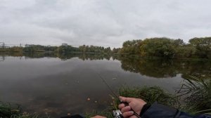 Рыбалка в Дождик. Ультралайт. Спиннинг. Москва река.