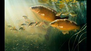 Вываживание карпа на коммерческом турнире "F-Carp", 2023, водоем Генезис, команда "ЛОМ".