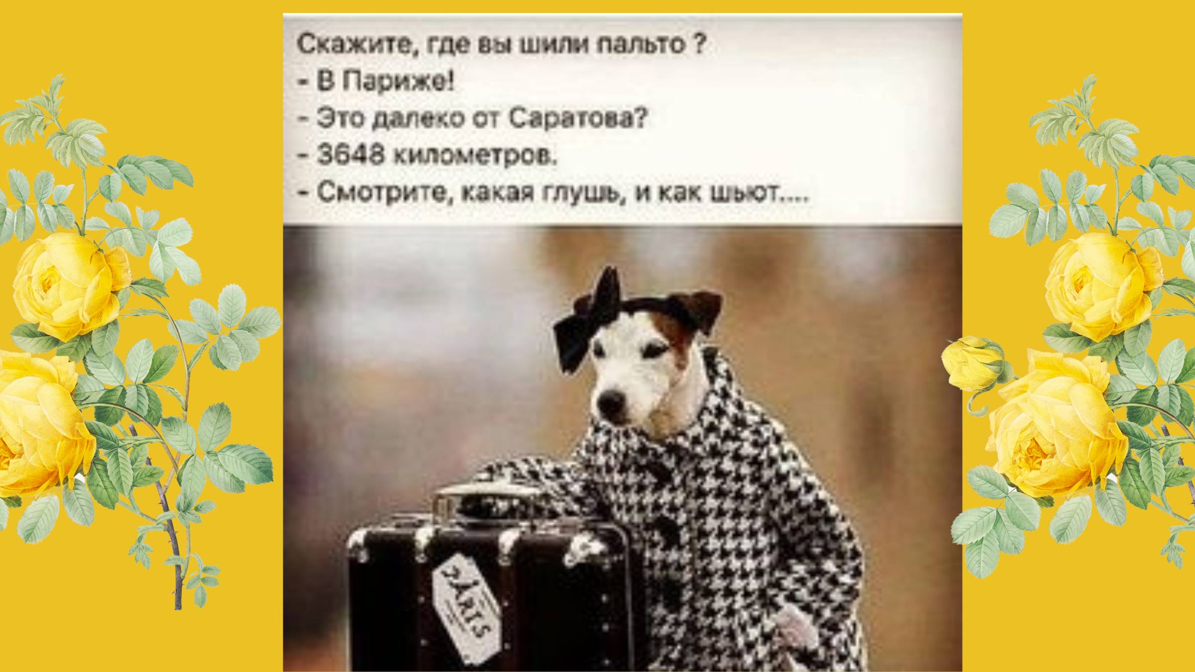 Юмор для позитивного настроя!💘💛💖