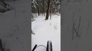 Толстолап Трэйл тропёжка 8122024.mp4