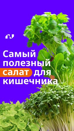 Какой известный салат полезнее всего для микрофлоры кишечника