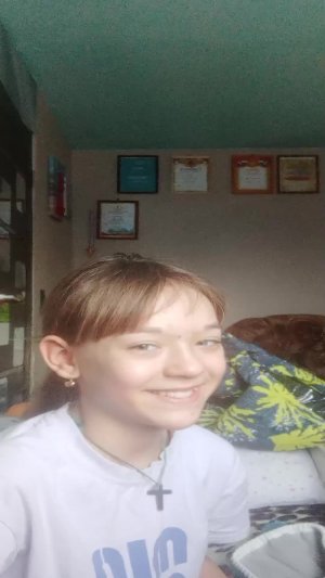 метл фемили