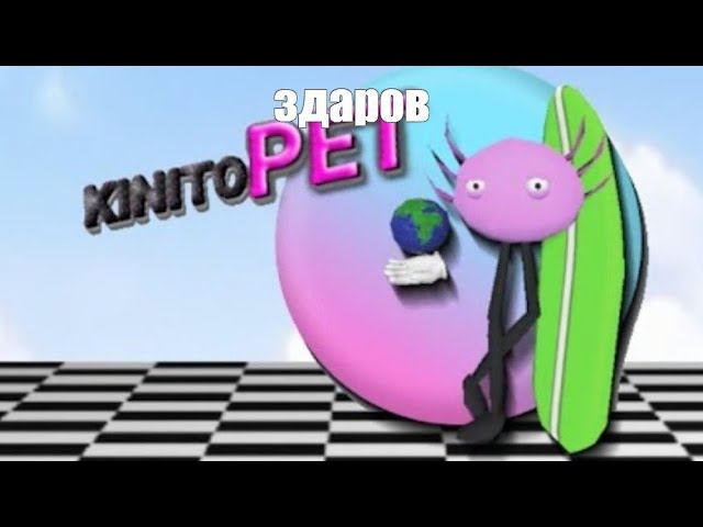 Кенито пет-полная версия #memesvideo #toplike #подпишись #тренды #затроллен смотреть онлайн