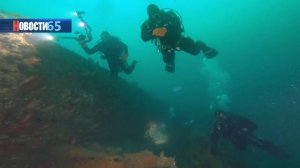 Путешествие на Сахалин. Приключения под водой и на суше