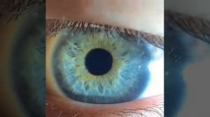 видео в Инстаграмм Instagram с музыкой .Blue green eye.Глаз