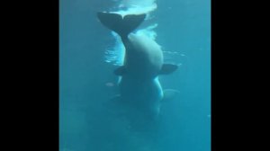 My trip to Georgia ✌🏻