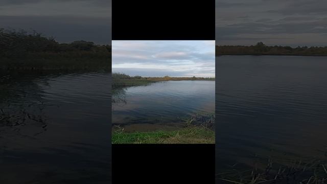 Озеро Ольшанские Карьеры.
