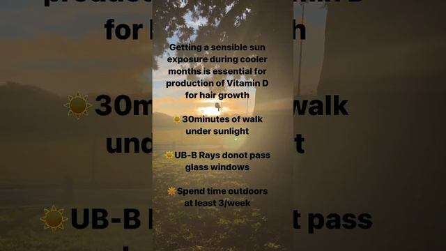 Sunlight and hair growth |natural vitamin d |winter hair tip | Trichologist| New Zealand