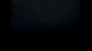 Пущино-Осень-Музыка-Вариант-2