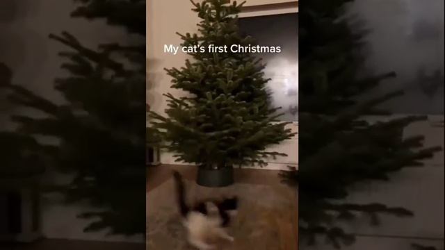Совсем скоро, в каждом доме 👆😊