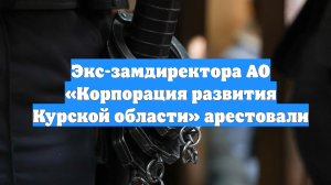 Экс-замдиректора АО «Корпорация развития Курской области» арестовали