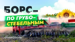 БОРС-9. Работа по грубостебельным культура. Ставропольский край