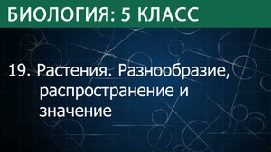 Биология 5 класс: Разнообразие, распространение, значение растений