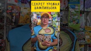 хотите богатый урожай шампиньонов?