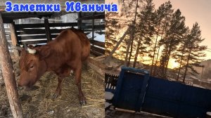 Ура - я дома!