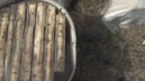 поилка для пчел