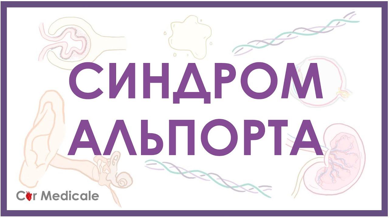 Синдром Альпорта - механизм развития, причины, клинические проявления