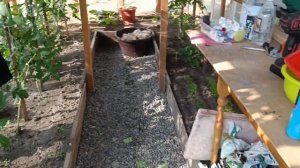 Где хранить шкуры кролика? Что с ними делать?