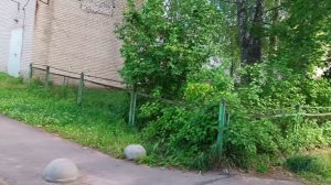 Село Новоселье, лето 2024