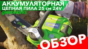 Пила аккумуляторная цепная 25 см Greenworks 24V G24CS25