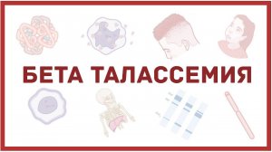 Бета талассемия - причины, симптомы, диагностика, лечение