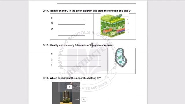 Biology 9  Practical's Exam Important  Papers PBA  2024 |Federal Board