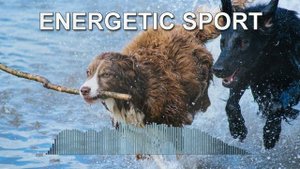 Energetic Sport (Epic Music)