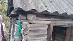 Смотрим дом за 450 т.р в деревне Менюши