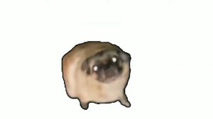 гуми гуми хаба хаба лака лака