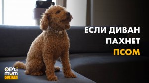 Как убрать неприятный запах с мебели?