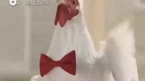 Куриный. Танец