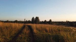 Walk in the field at sunset. Прогулка по полю на закате. (4K)