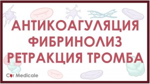 Антикоагуляция, фибринолиз, ретракция тромба - механизм кратко | Физиология