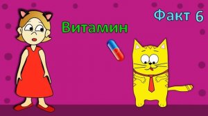 10 интересных фактов о кошках.