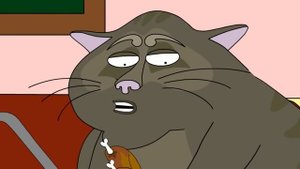 Жирный кошара   KuTstupid