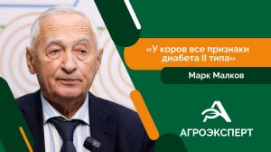 Агроэксперт - Марк Малков