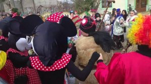 Калу САту ноу2021